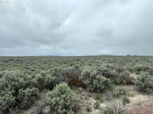 a view of a dry field