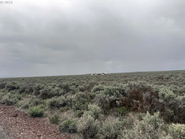 $24,500 | Fossil Lake Road, Unit 100, Christmas Valley, OR 97641