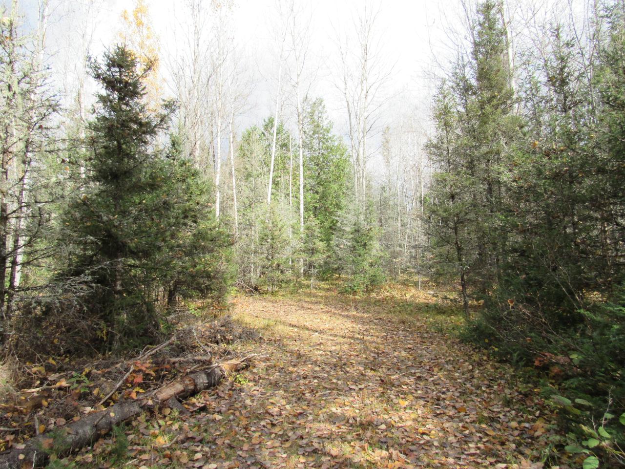 On Sheltrow Road, Unit LOT 10 Crystal Falls, MI 49920 - Photo 8 of 14 Gallery Image 8