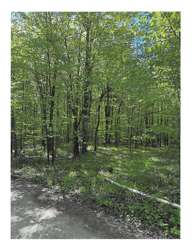 Lot #1 South Highland Road Fish Creek, WI 54212 - Photo 3 of 3