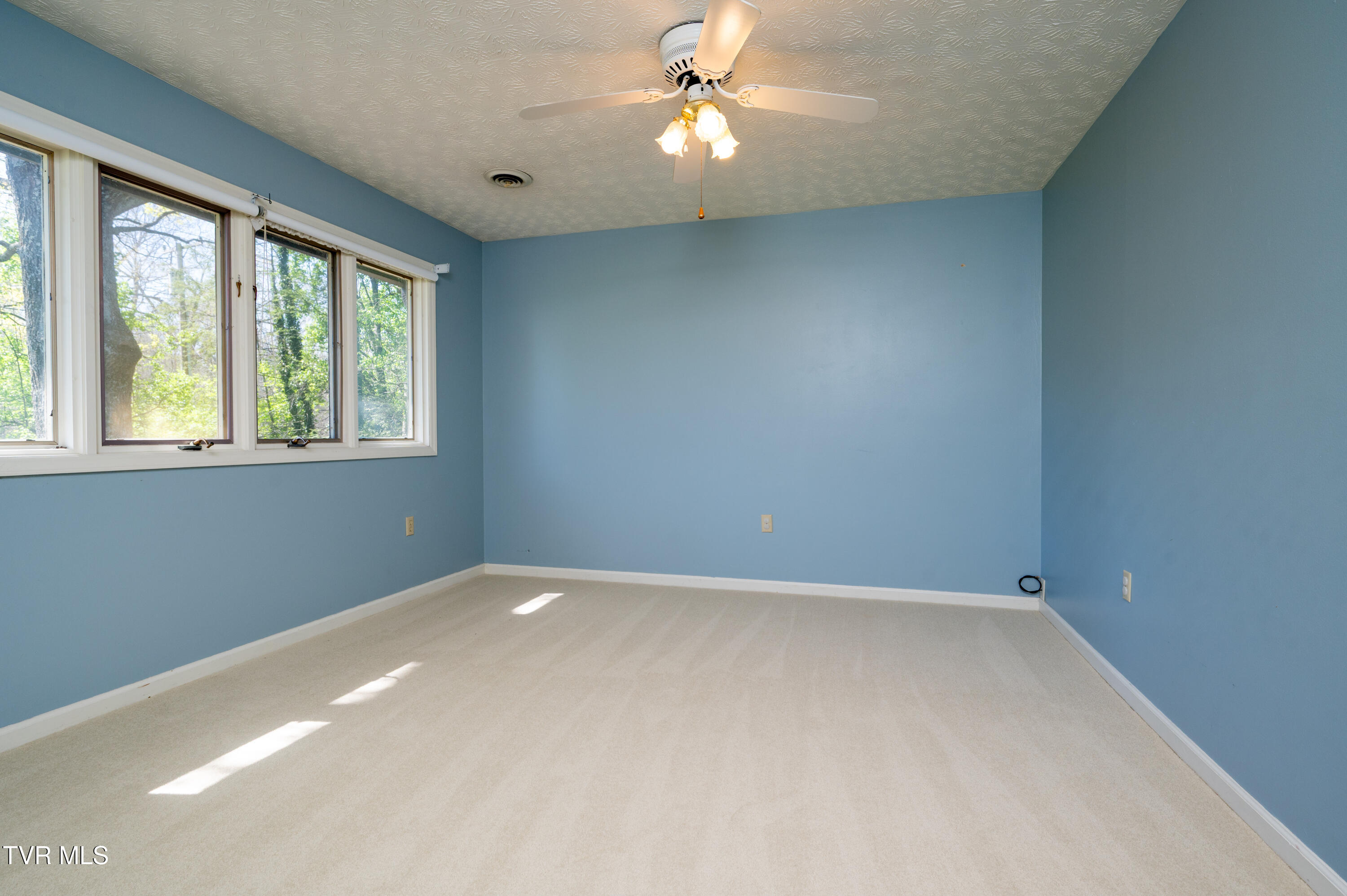 4312 Orebank Road Kingsport, TN 37664 - Photo 26 of 57 Orebank-36