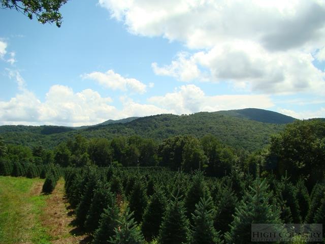 a view of a city with lush green forest