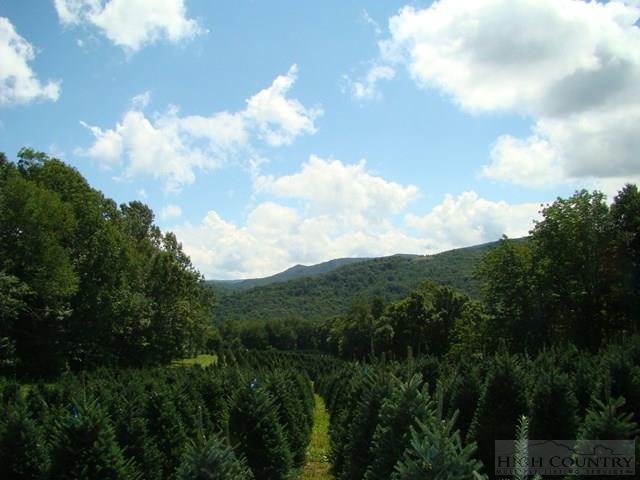 0 Meat Camp Road Todd, NC 28684 - Photo 3 of 22 a view of a city and a lot of trees