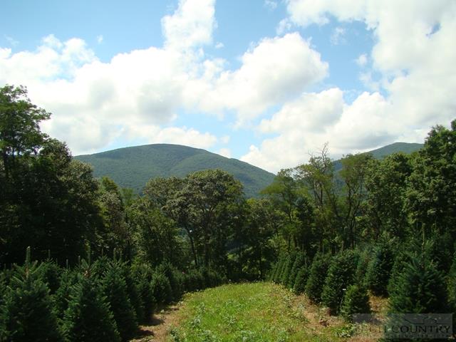 0 Meat Camp Road Todd, NC 28684 - Photo 10 of 22 a view of a yard