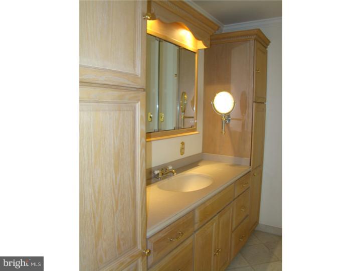 2248 Rittenhouse Square Bensalem, PA 19020 - Photo 14 of 17 Master Bathroom
