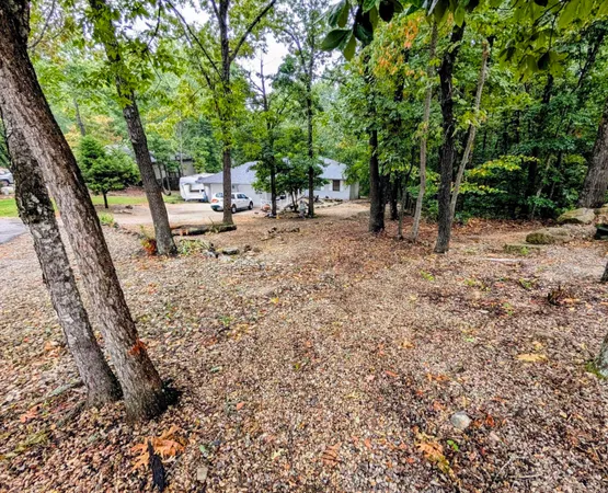 $447,700 | 166 Queensberry Road, Reeds Spring, MO 65737