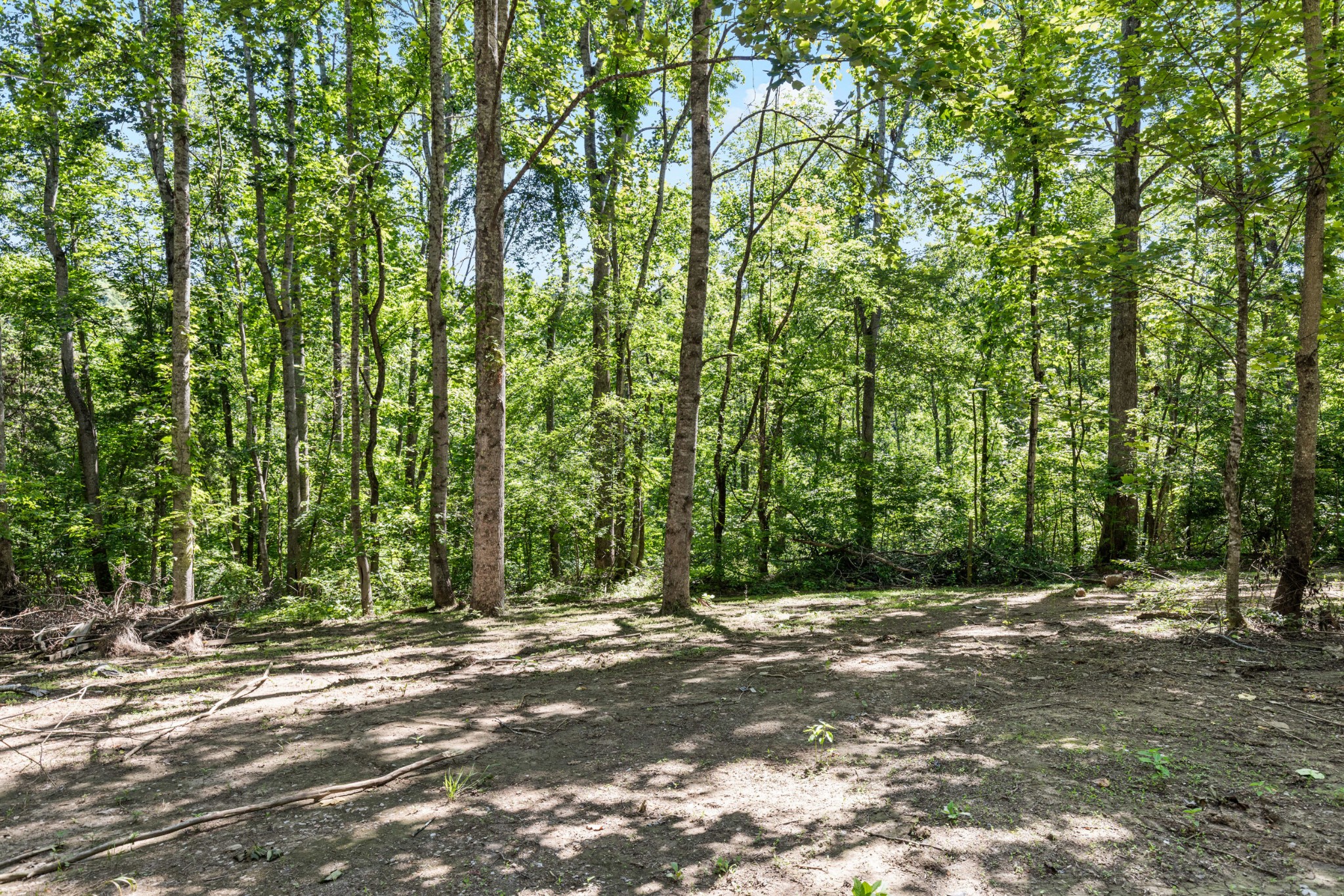 1585 Butler Mill Hollow Road Bethpage, TN 37022 - Photo 37 of 43