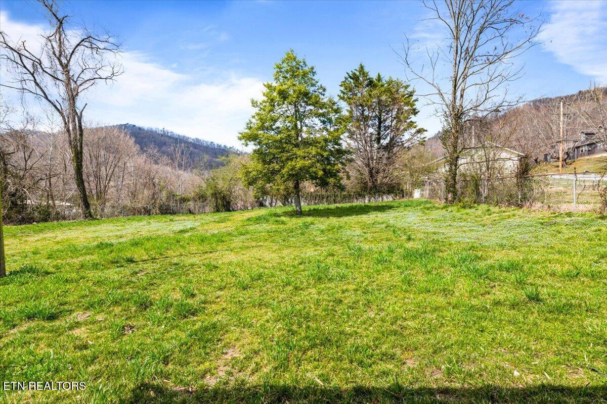 313 East Prospect Street La Follette, TN 37766 - Photo 40 of 41 47-313 E Prospect St