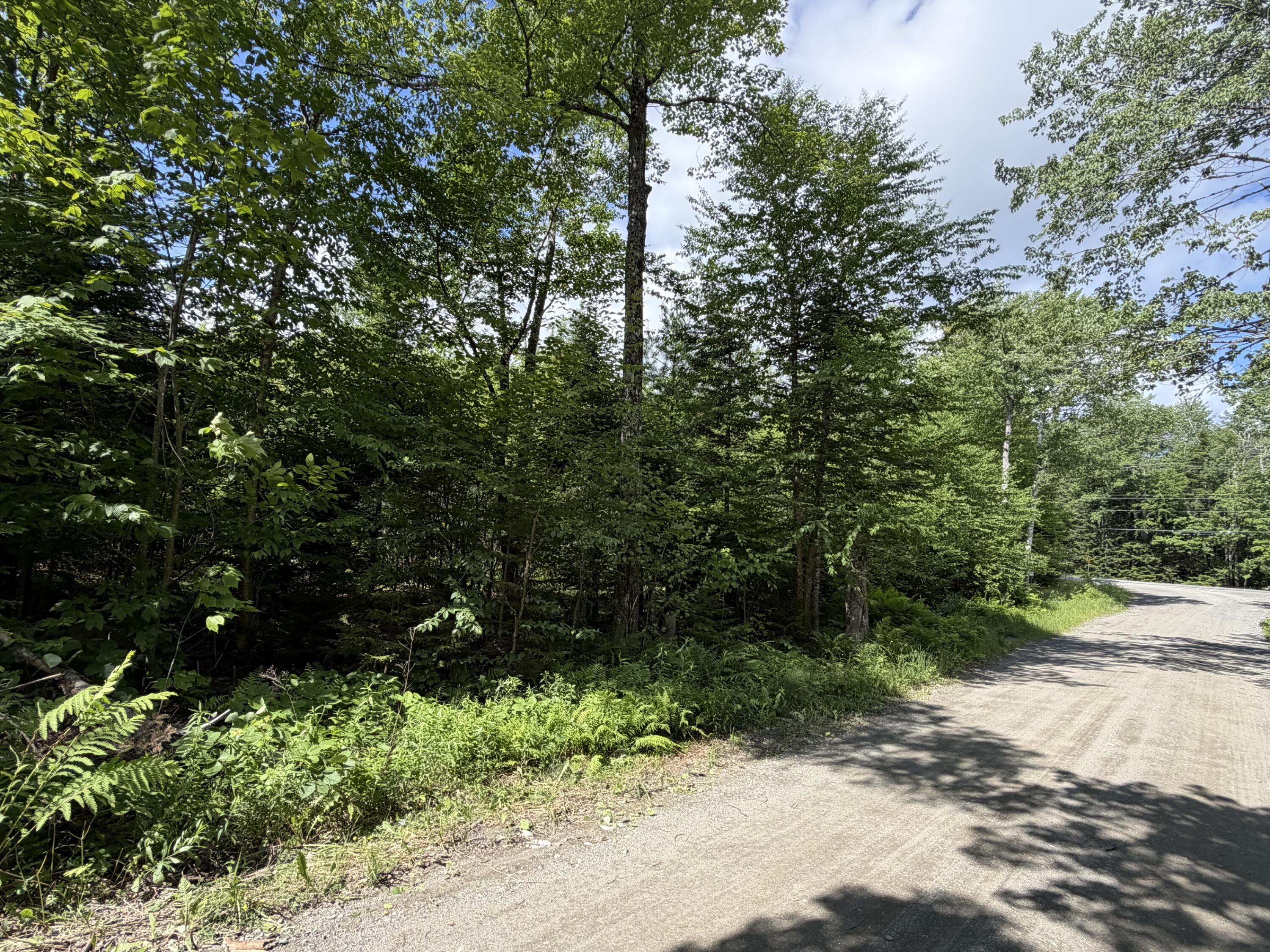 L1 Lily Bay Road Greenville, ME 04441 - Photo 7 of 15 IMG_0803