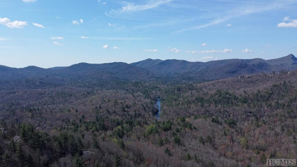 7 Tower Road Sapphire, NC 28774 - Photo 7 of 28 Gallery Image 7