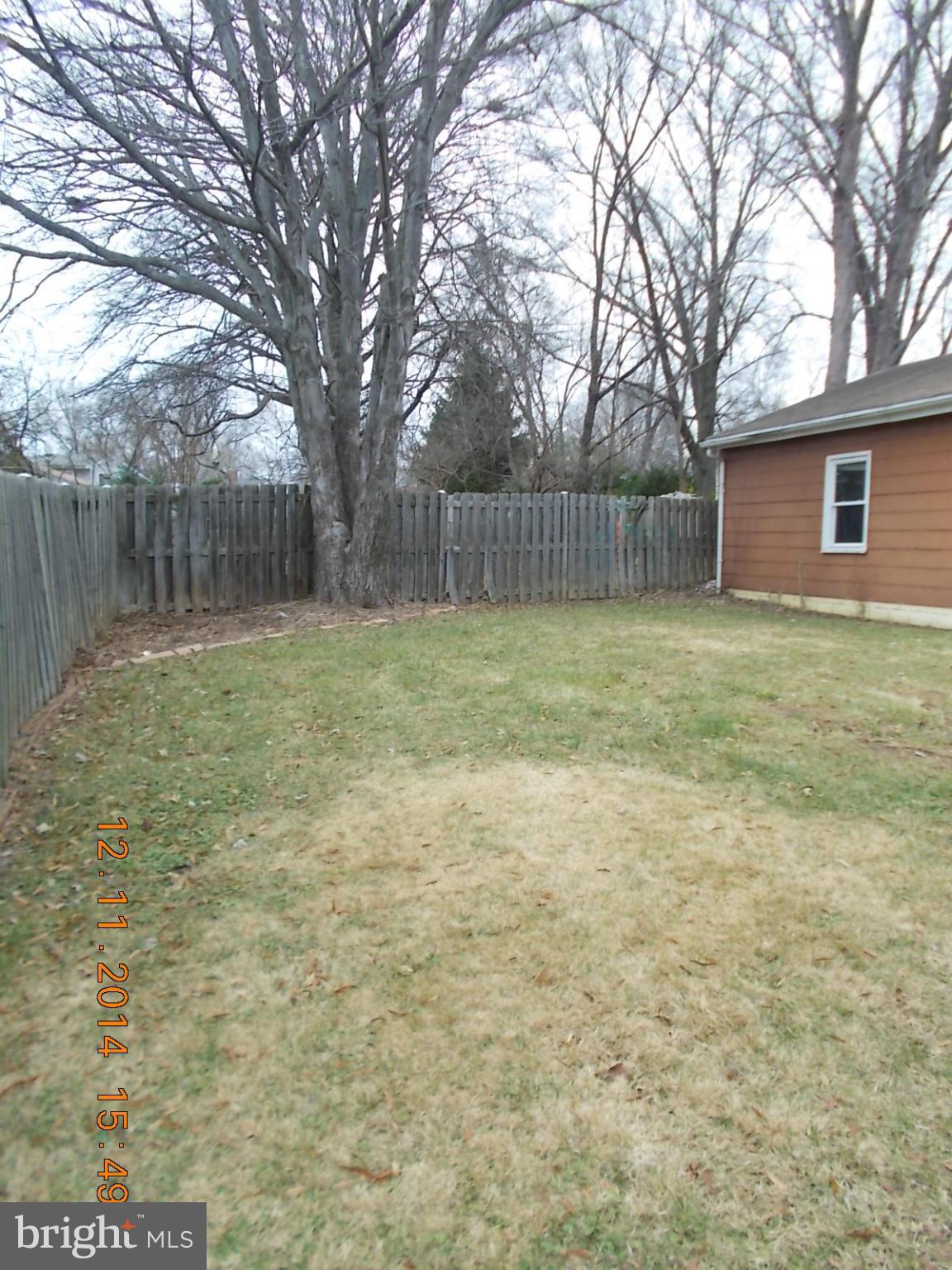 3505 May Street Silver Spring, MD 20906 - Photo 22 of 22 a backyard of a house with lots of plants and large tree