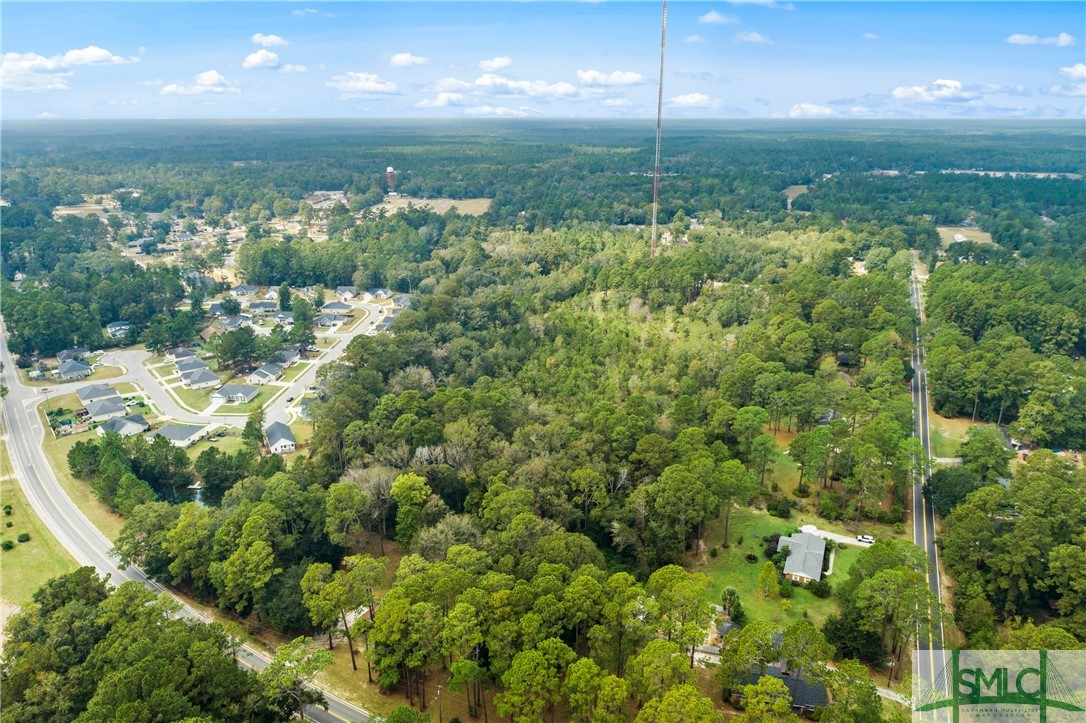 0 Harry Hagan Road Pembroke, GA 31321 - Photo 11 of 30