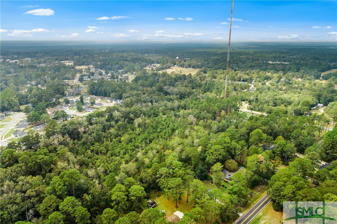 0 Harry Hagan Road Pembroke, GA 31321 - Photo 13 of 30