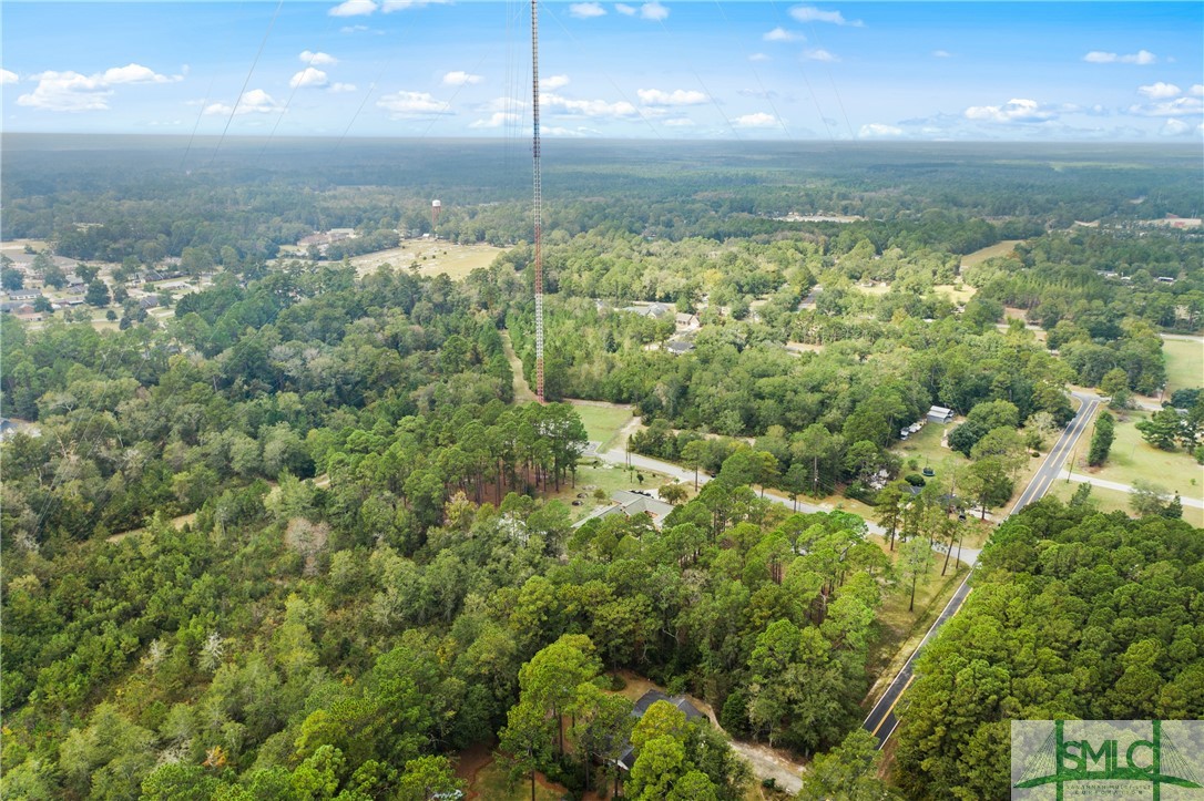 0 Harry Hagan Road Pembroke, GA 31321 - Photo 14 of 30