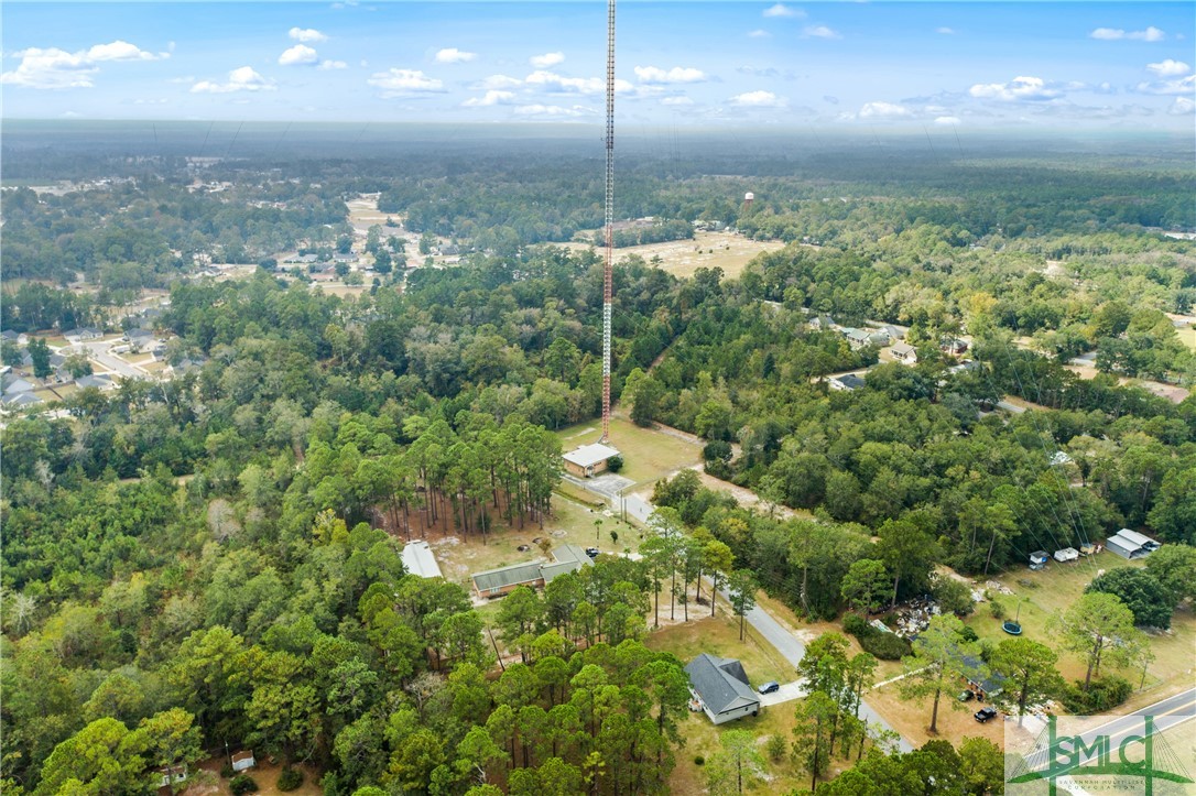 0 Harry Hagan Road Pembroke, GA 31321 - Photo 15 of 30