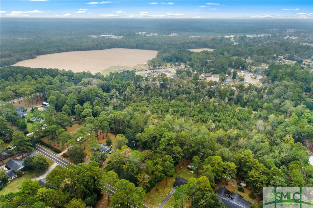 0 Harry Hagan Road Pembroke, GA 31321 - Photo 16 of 30