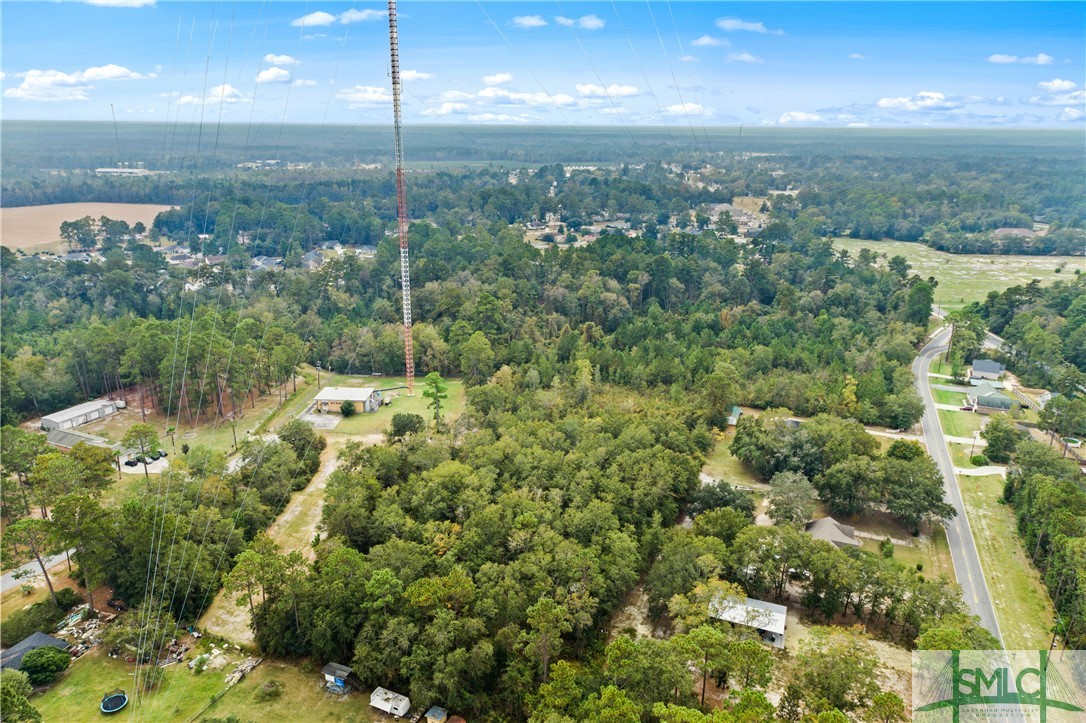 0 Harry Hagan Road Pembroke, GA 31321 - Photo 18 of 30