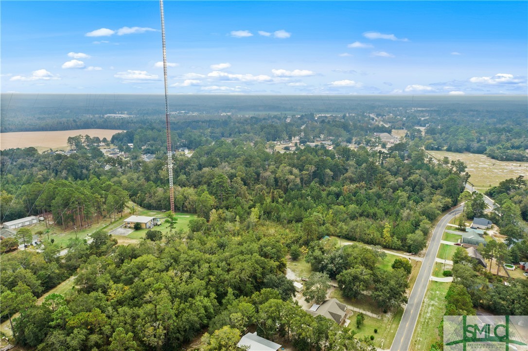 0 Harry Hagan Road Pembroke, GA 31321 - Photo 19 of 30