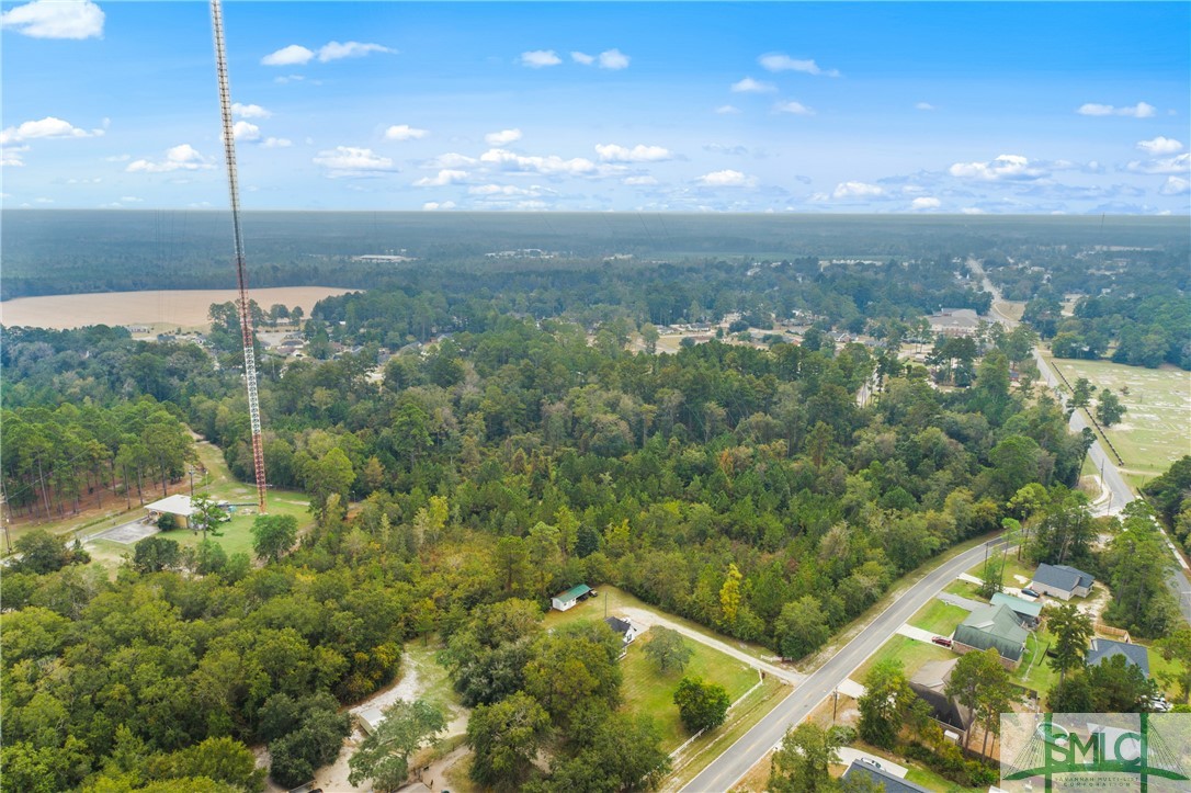 0 Harry Hagan Road Pembroke, GA 31321 - Photo 20 of 30