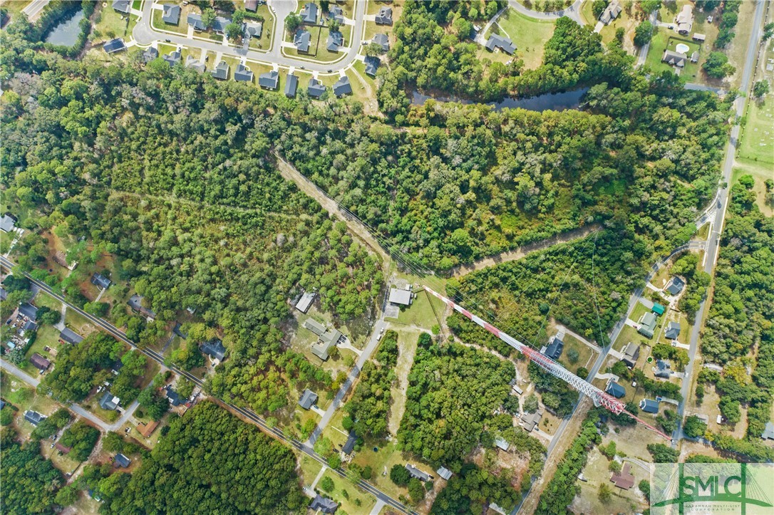 0 Harry Hagan Road Pembroke, GA 31321 - Photo 2 of 30