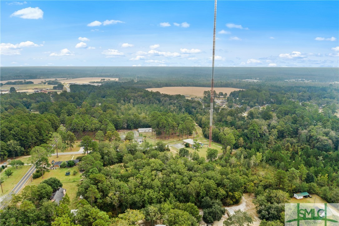 0 Harry Hagan Road Pembroke, GA 31321 - Photo 21 of 30