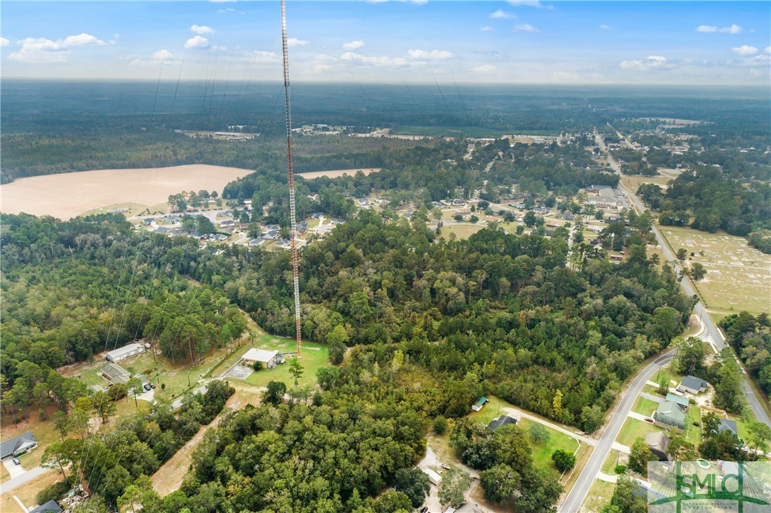 0 Harry Hagan Road Pembroke, GA 31321 - Photo 24 of 30