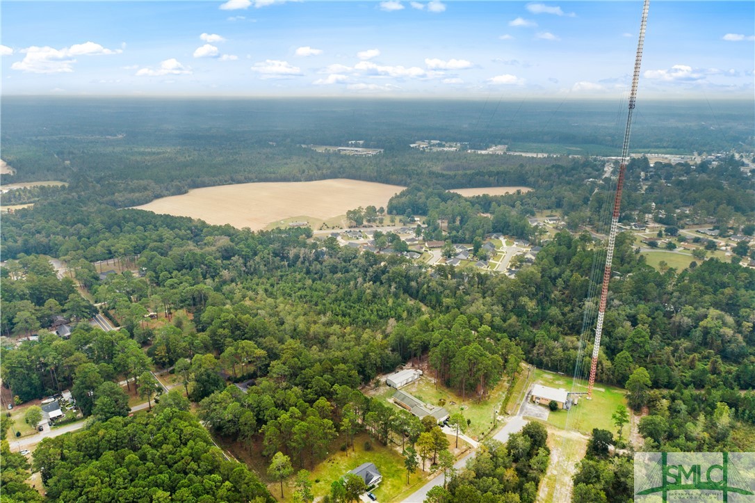 0 Harry Hagan Road Pembroke, GA 31321 - Photo 25 of 30