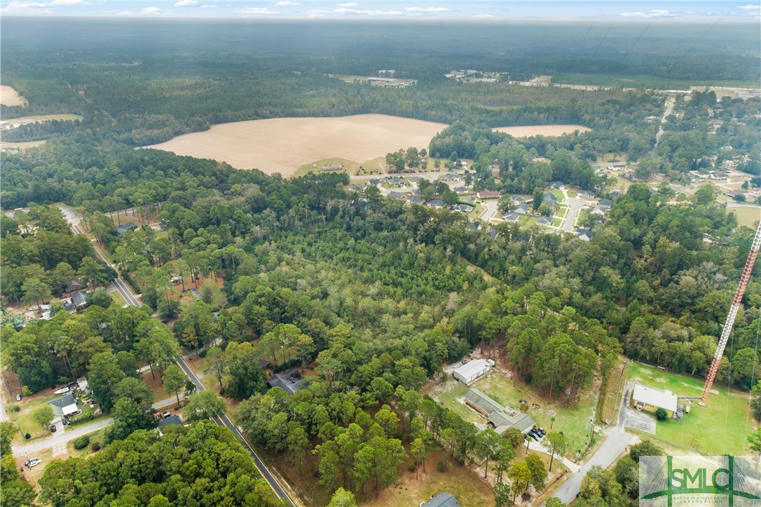 0 Harry Hagan Road Pembroke, GA 31321 - Photo 26 of 30