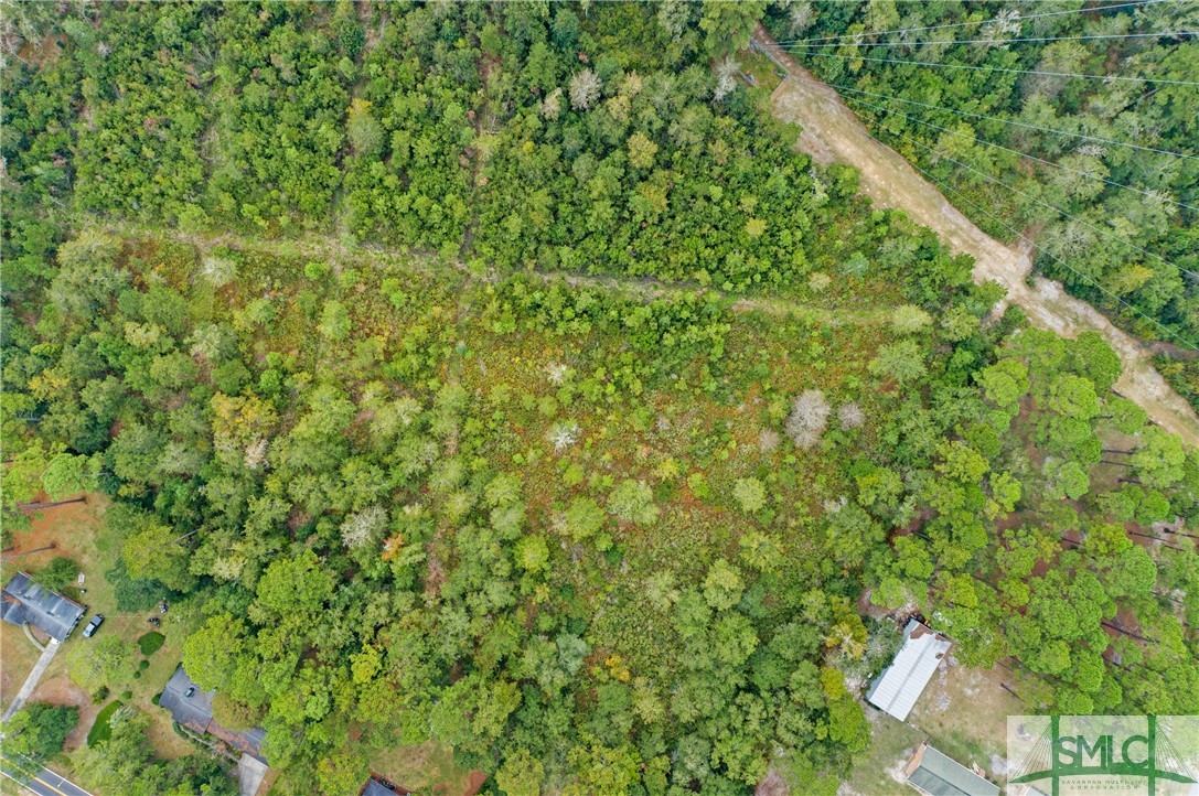 0 Harry Hagan Road Pembroke, GA 31321 - Photo 29 of 30