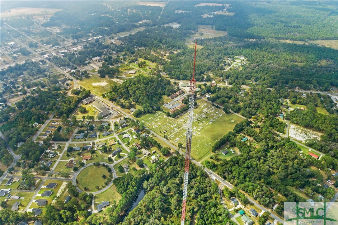 0 Harry Hagan Road Pembroke, GA 31321 - Photo 3 of 30