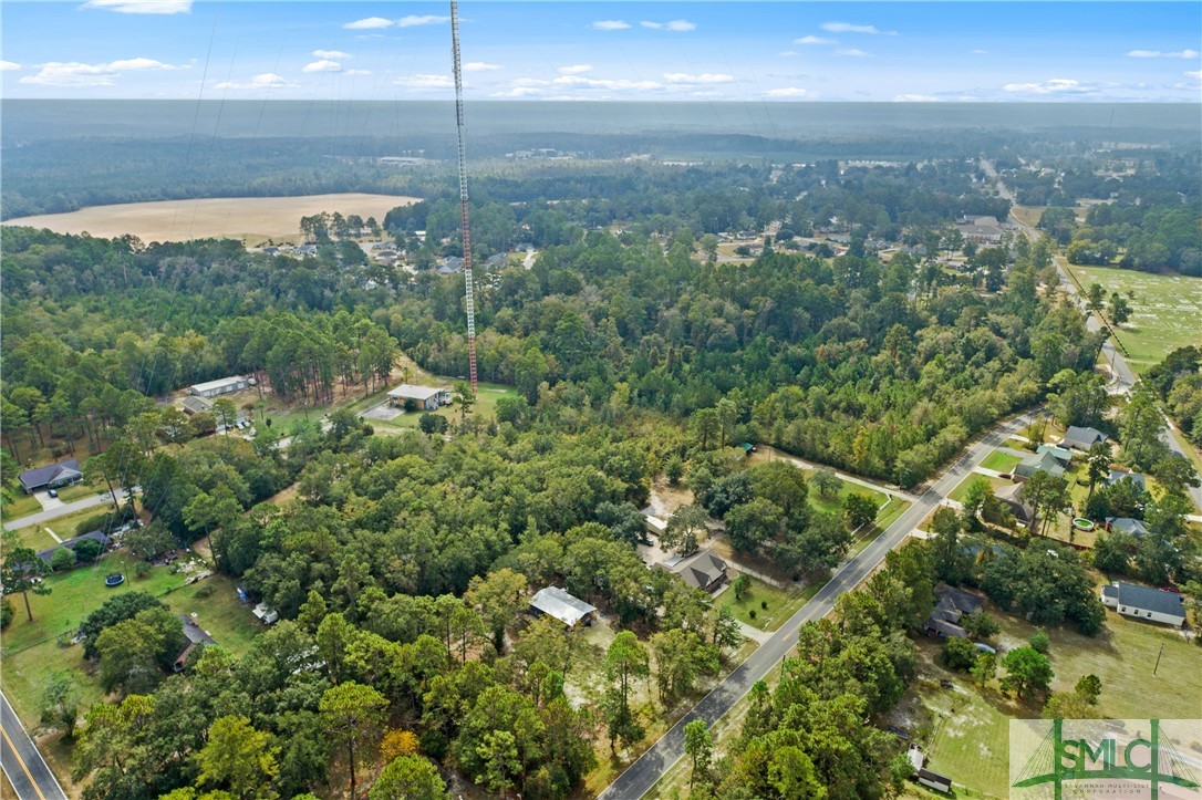 0 Harry Hagan Road Pembroke, GA 31321 - Photo 4 of 30