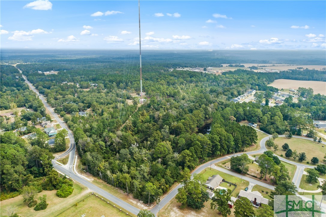 0 Harry Hagan Road Pembroke, GA 31321 - Photo 5 of 30