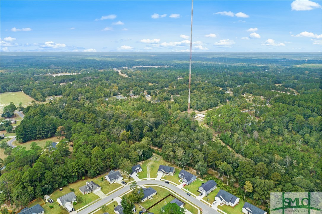 0 Harry Hagan Road Pembroke, GA 31321 - Photo 7 of 30