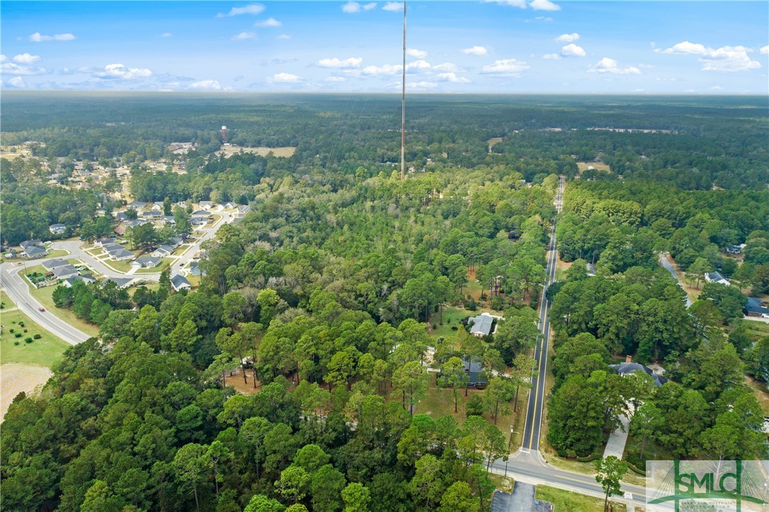 0 Harry Hagan Road Pembroke, GA 31321 - Photo 10 of 30