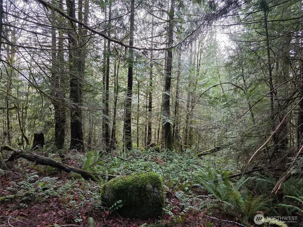 $140,000 | 0 Dragonfly Place, Brinnon, WA 98320