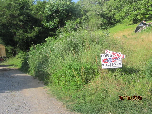 0 Scaggs Road East Frankewing, TN 38459 - Photo 1 of 6 Gallery Image 1