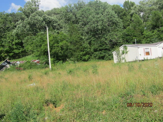 0 Scaggs Road East Frankewing, TN 38459 - Photo 4 of 6 Gallery Image 4