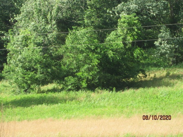 0 Scaggs Road East Frankewing, TN 38459 - Photo 6 of 6 Gallery Image 6