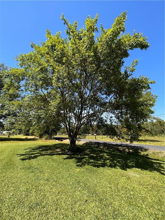 54711 Mashon Road Independence, LA 70443 - Photo 4 of 27 Gallery Image 4