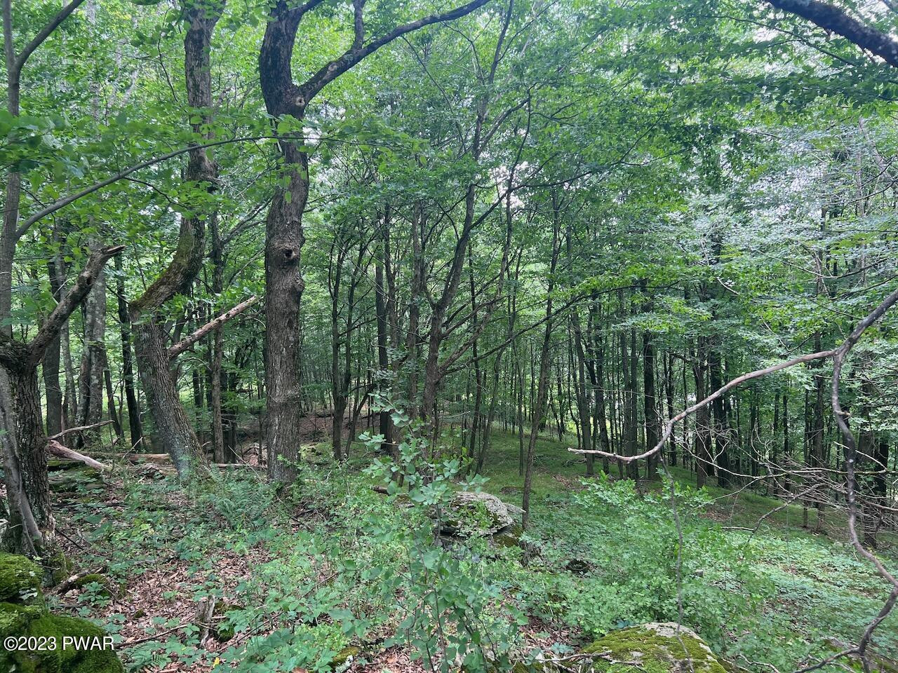 Schuman Road Damascus, PA 18415 - Photo 17 of 19