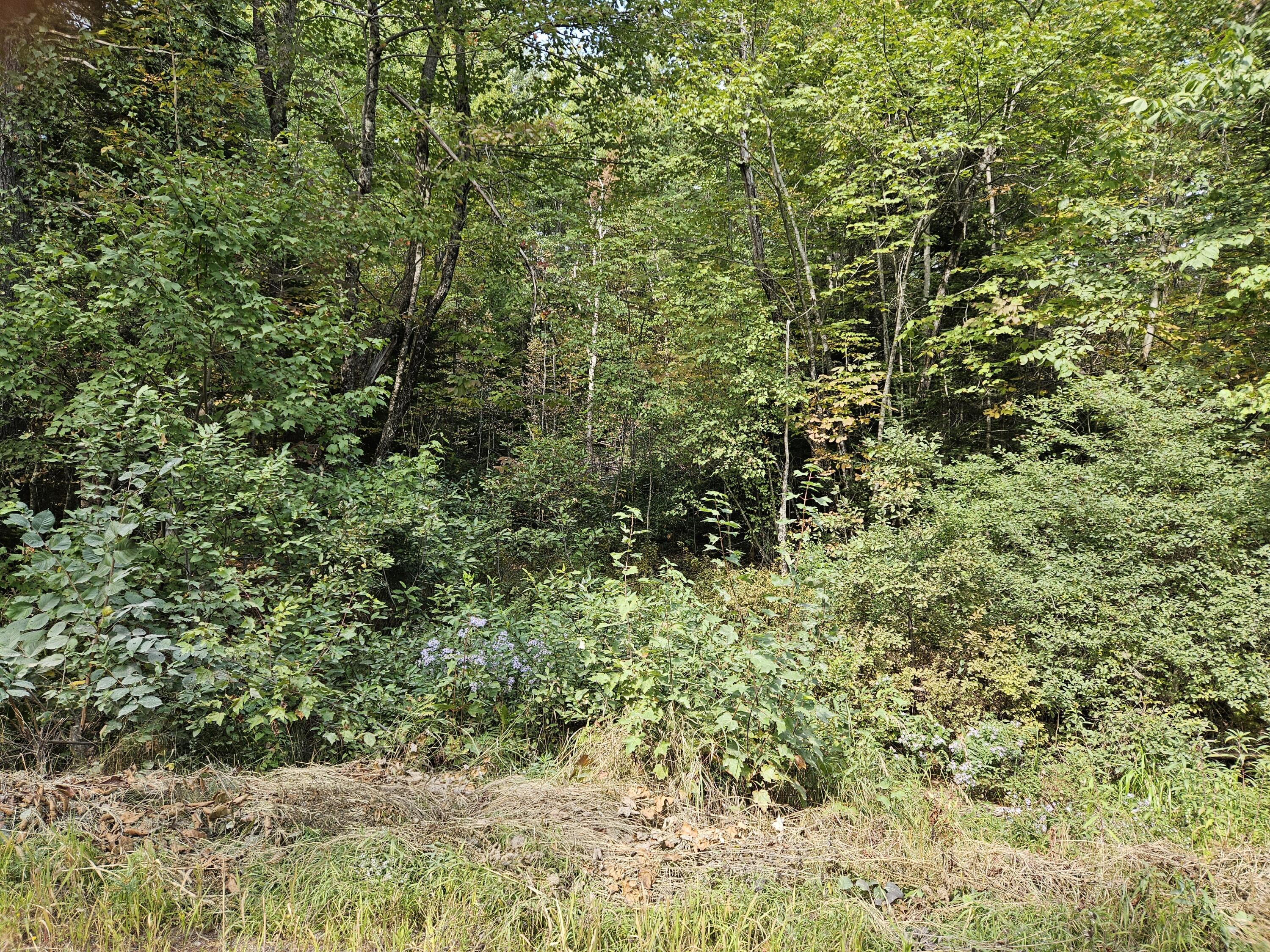 Lot 11.2 Mccorrison Road Dover-Foxcroft, ME 04426 - Photo 1 of 1 20250917_124518