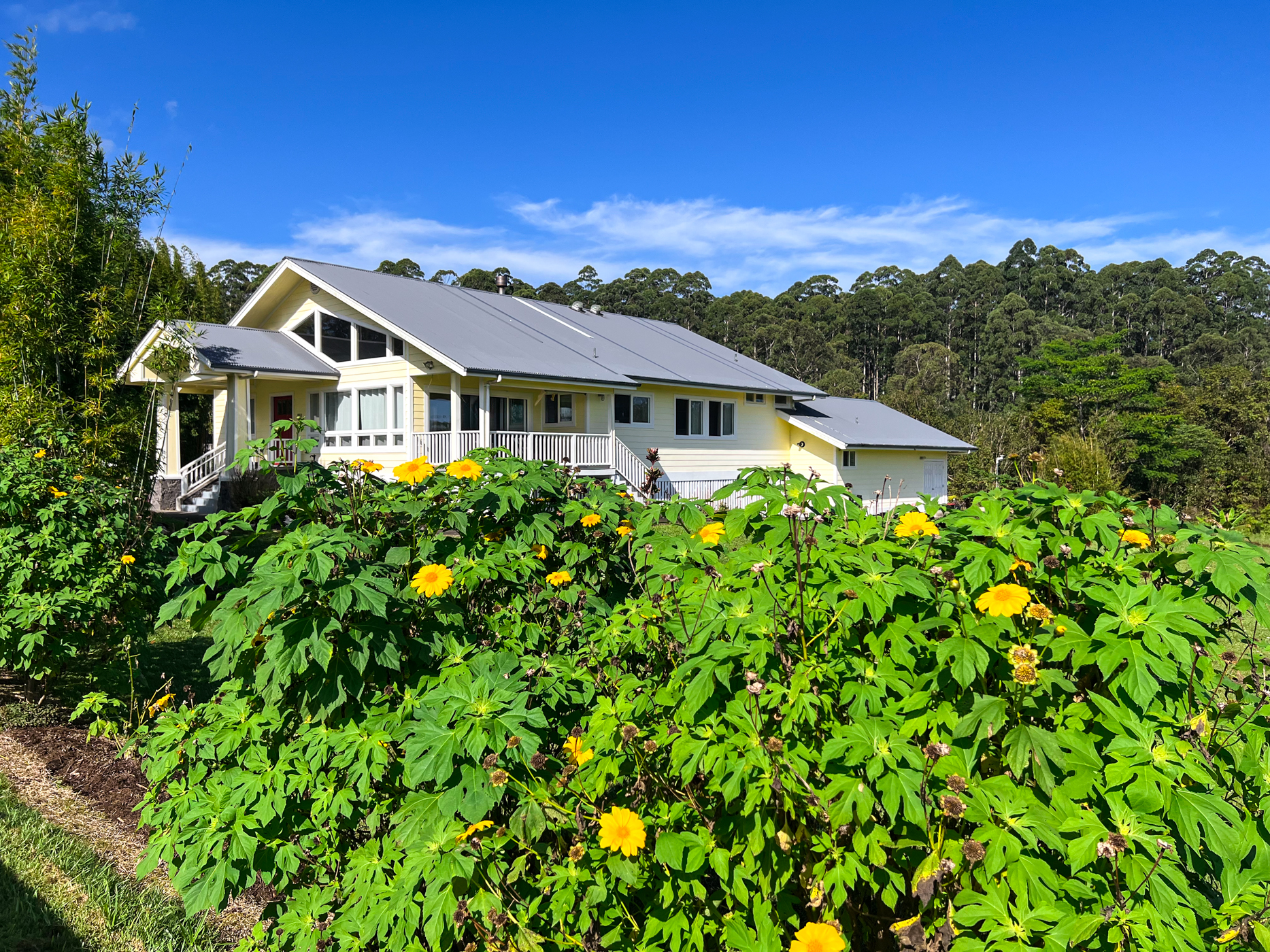 980 Kulaloa Road Hilo, HI 96720 - Photo 1 of 30 a front view of a house with a yard and trees