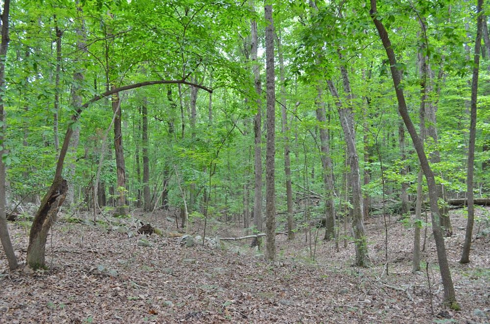 16 Fire Tower Drive Rougemont, NC 27572 - Photo 11 of 13 Photo 11