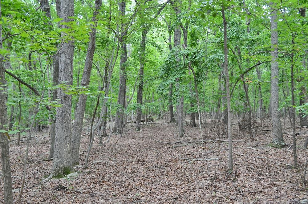 16 Fire Tower Drive Rougemont, NC 27572 - Photo 12 of 13 Photo 12