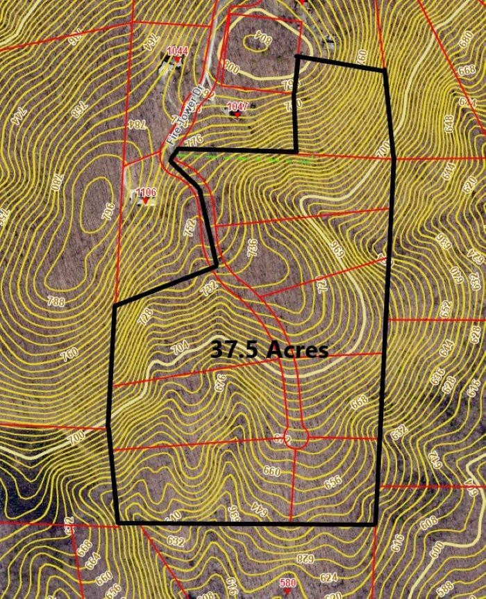 16 Fire Tower Drive Rougemont, NC 27572 - Photo 4 of 13 Photo 4
