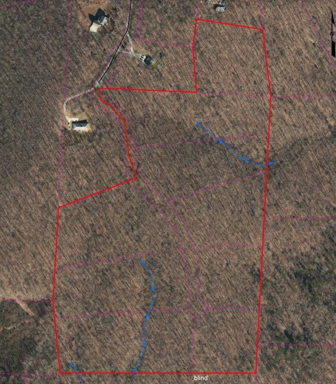 16 Fire Tower Drive Rougemont, NC 27572 - Photo 6 of 13 Photo 6