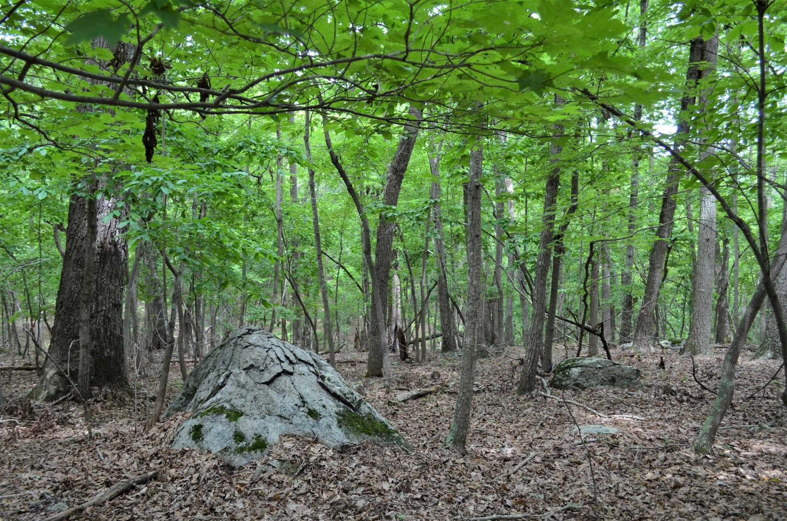 16 Fire Tower Drive Rougemont, NC 27572 - Photo 8 of 13 Photo 8