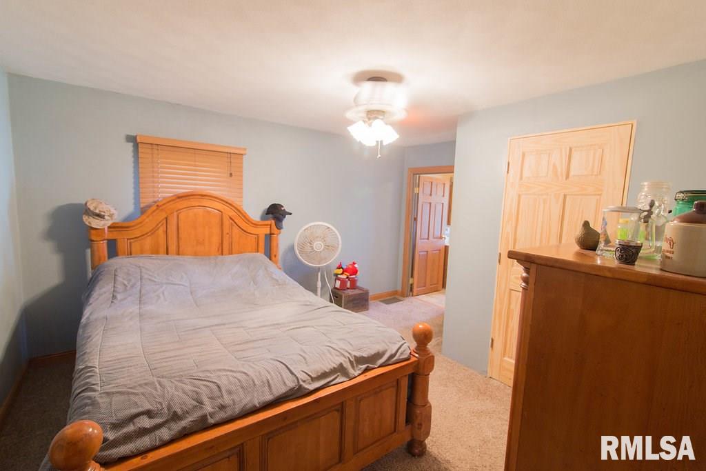 325 Maple Street Colona, IL 61241 - Photo 8 of 18 Gallery Image 8