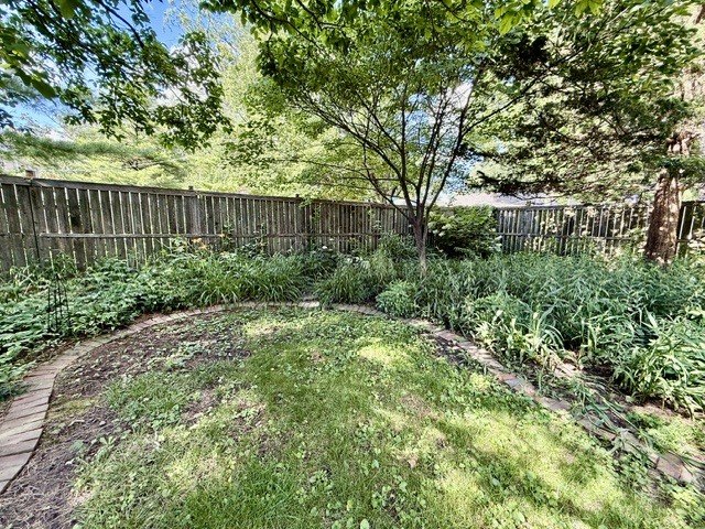 720 South New Street Champaign, IL 61820 - Photo 57 of 73 a view of a garden with plants and large trees