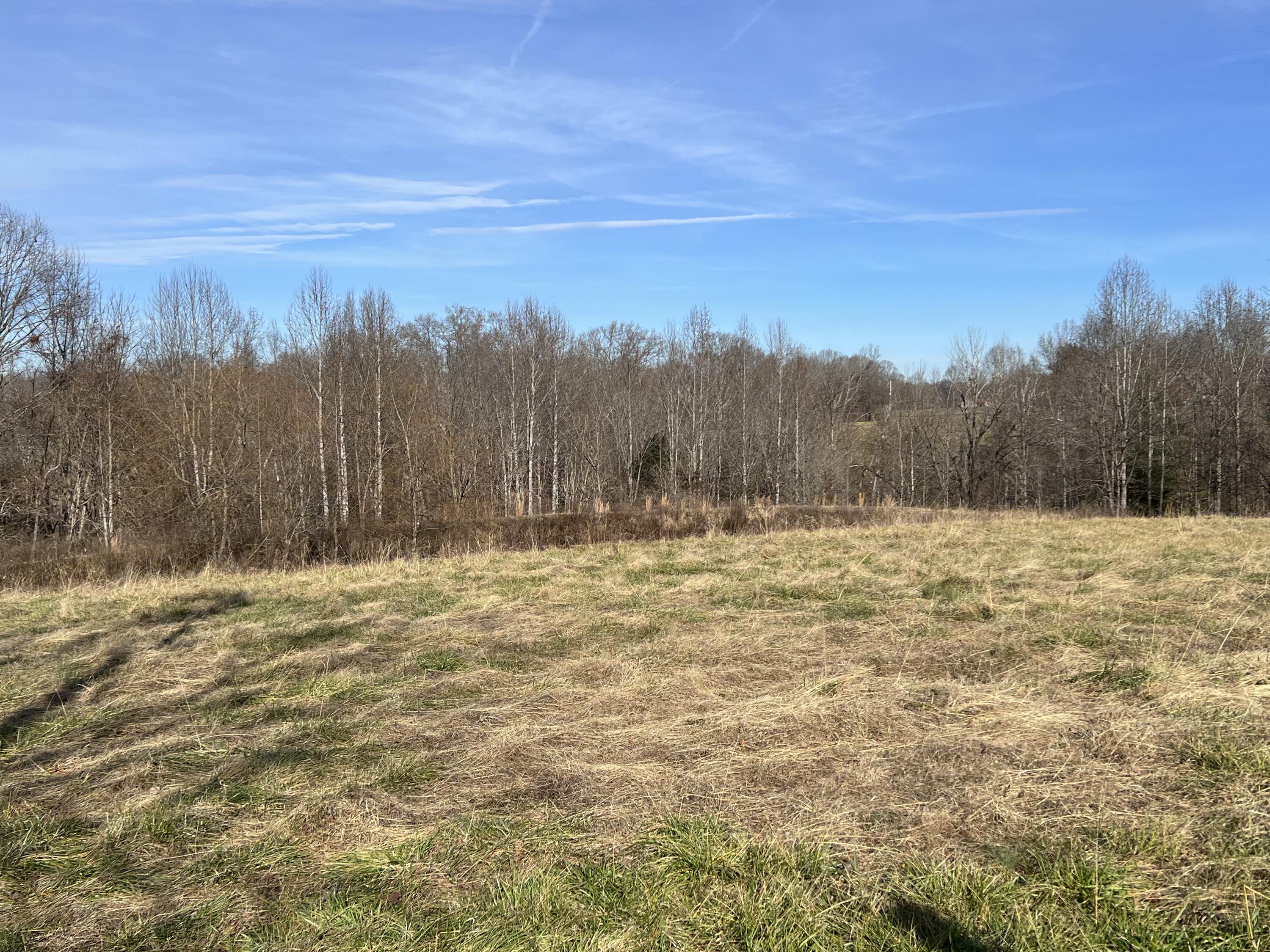 881 Walnut Hill Road Liberty, KY 42539 - Photo 40 of 46 IMG_6227